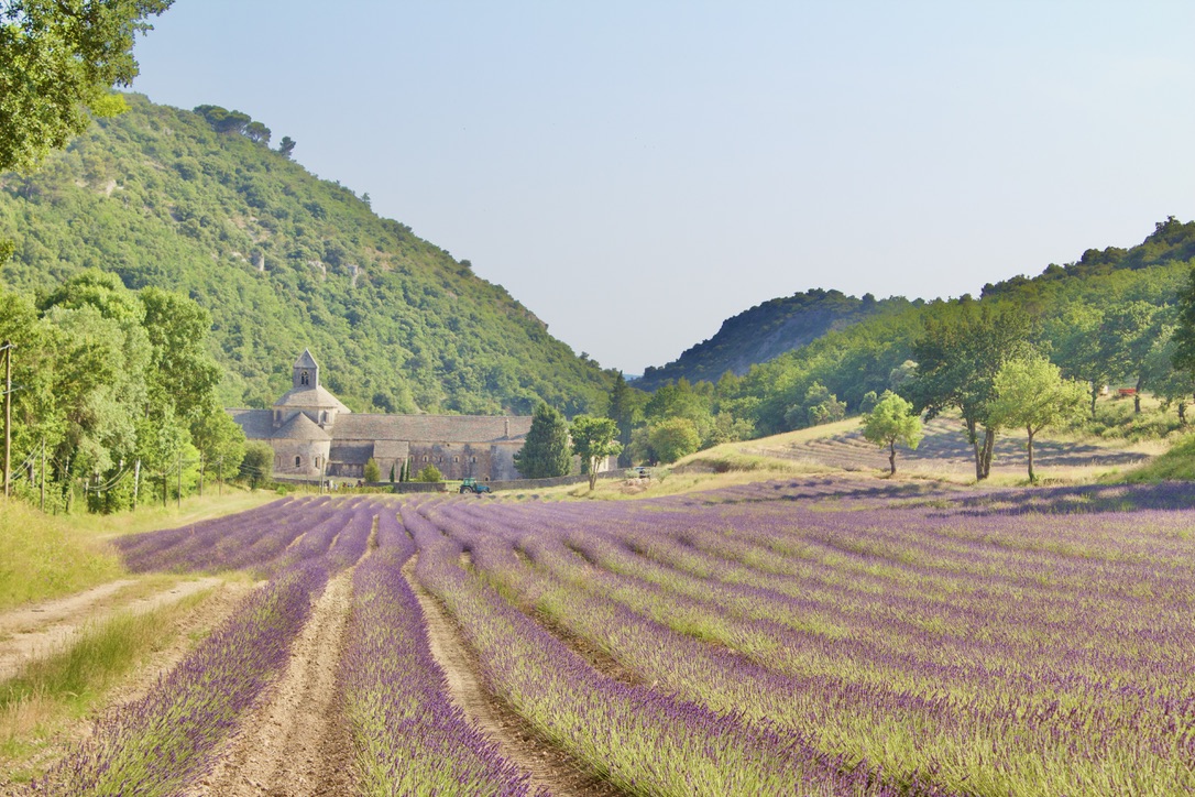 Abbaye Senanque Provence France gmca 1