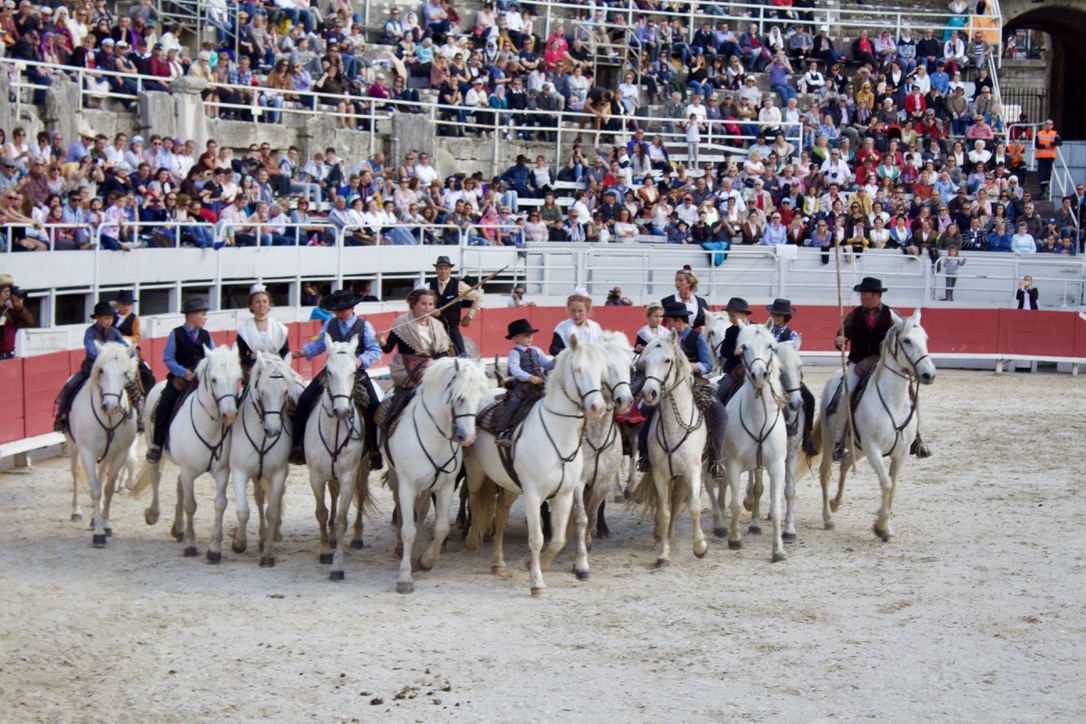 Arles arenes fete des gardians Provence gmca