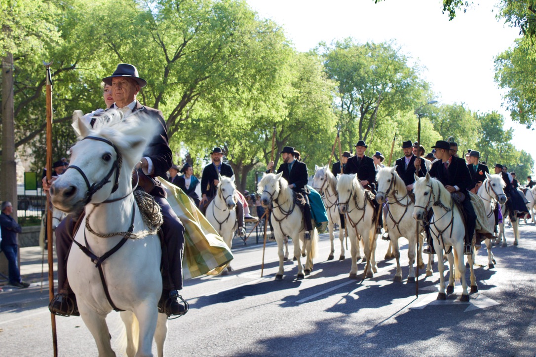 Arles fetes gardians 2023 gmca 1