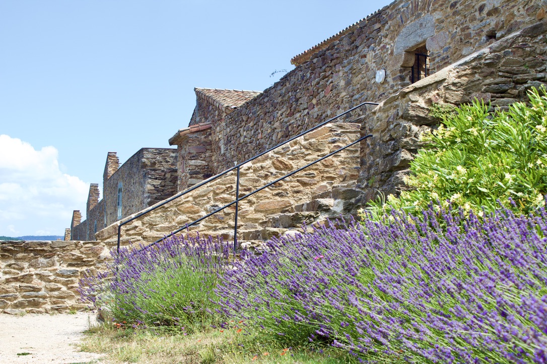 Chartreuse de la Verne Provence France gmca 2