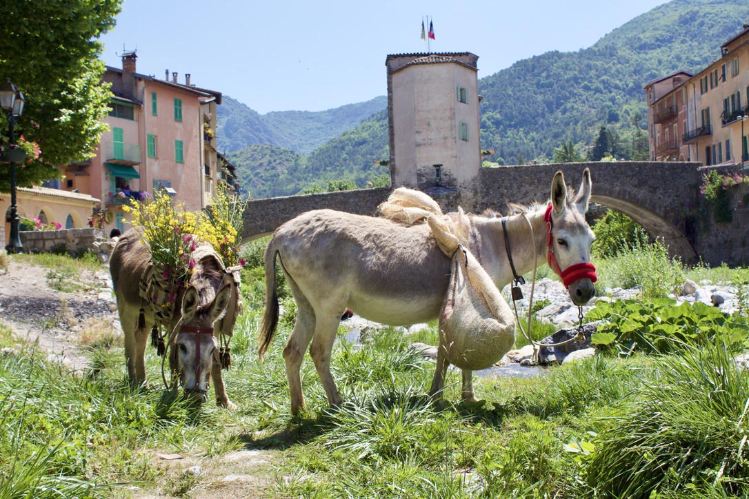 Sospel Provence route de sel